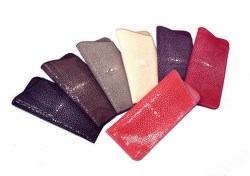 CC2 Eye glasses soft case